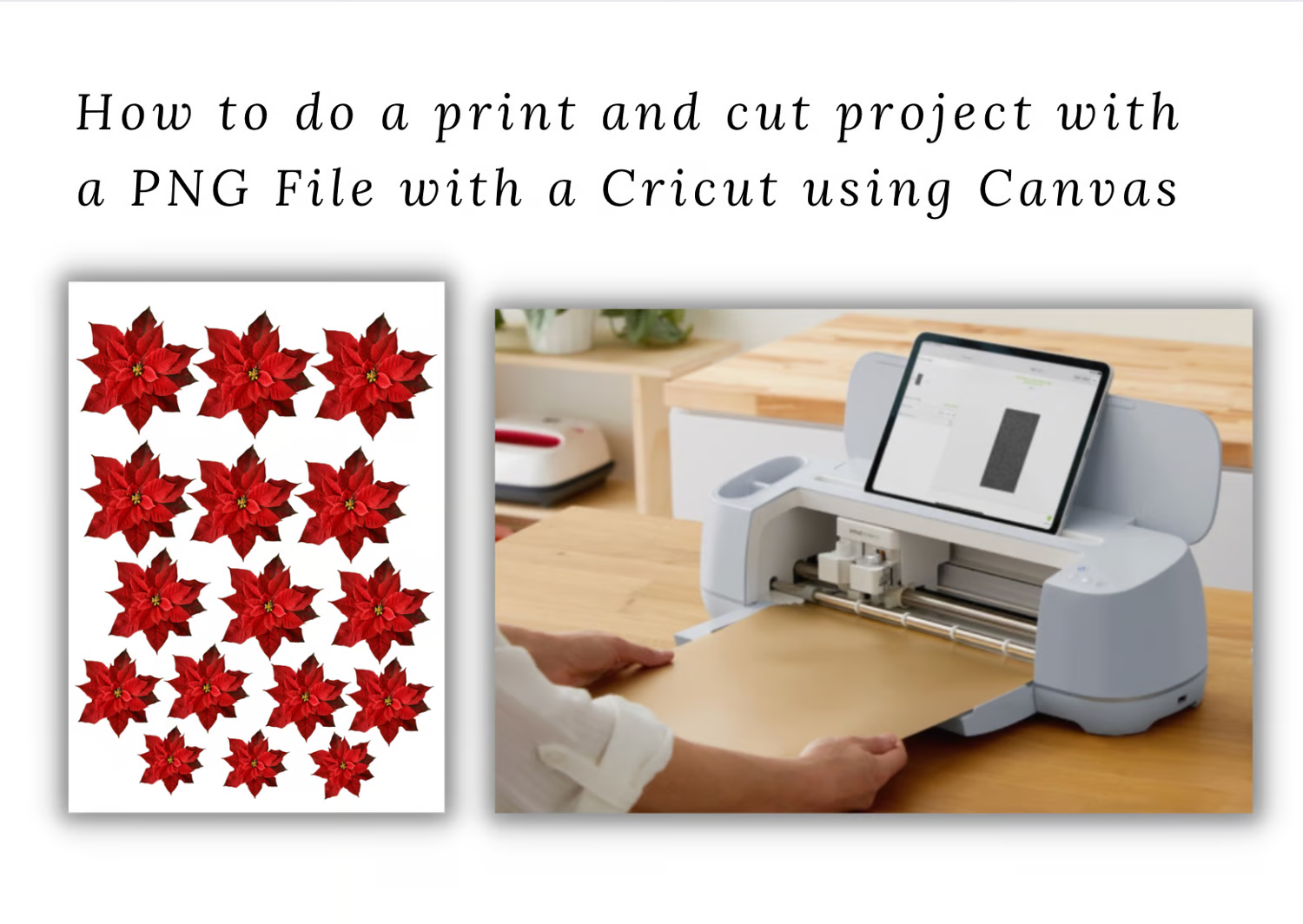 How to do a print and cut project with a PNG file on a Cricut, Cameo, and Brother scan n cut